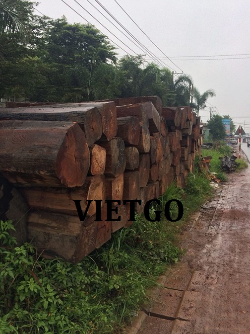 go-cam-xe-vietgo-xk